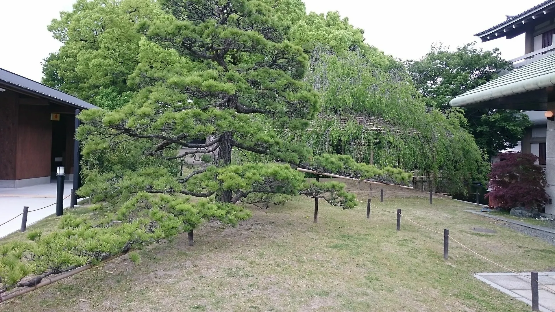 Kyounoyado Senkakubettei Kyōto